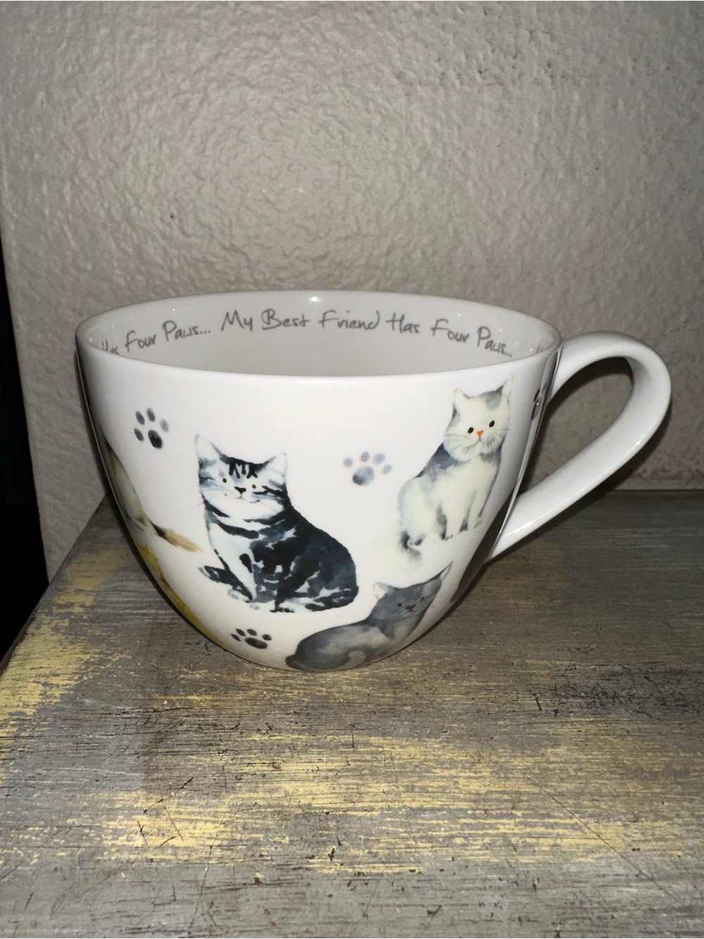 Portobello by Design Bone China Cat Mug "My Best Friend Has Four Paws"